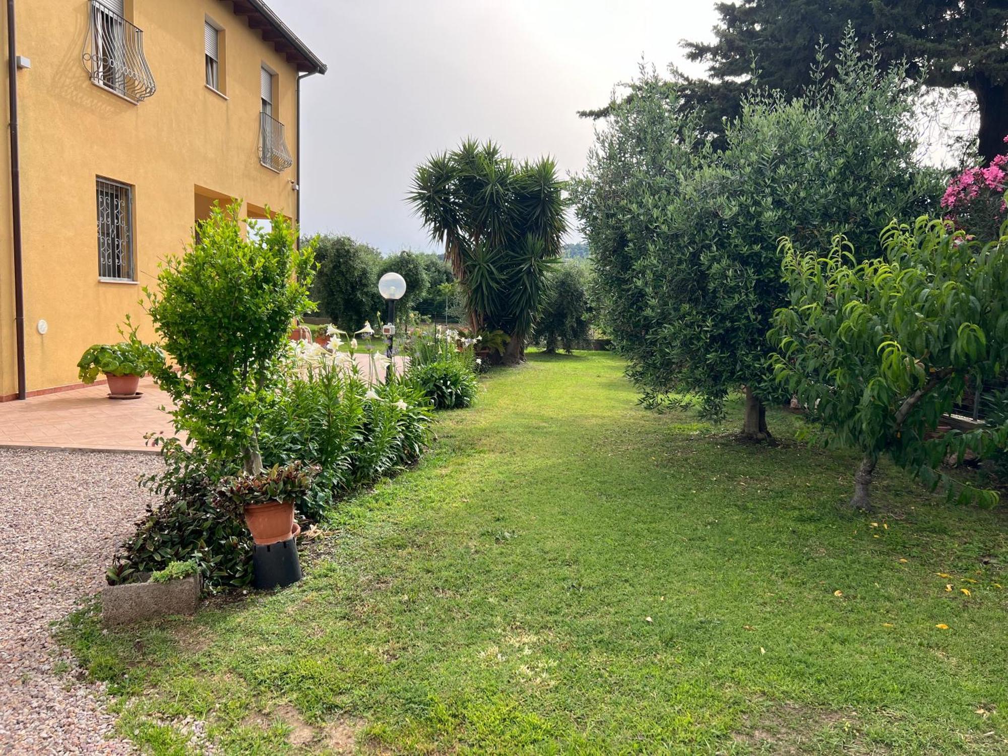 Agriturismo Il Giardino Degli Olivi Appartamenti Кастільйоне-делла-Пеская Екстер'єр фото