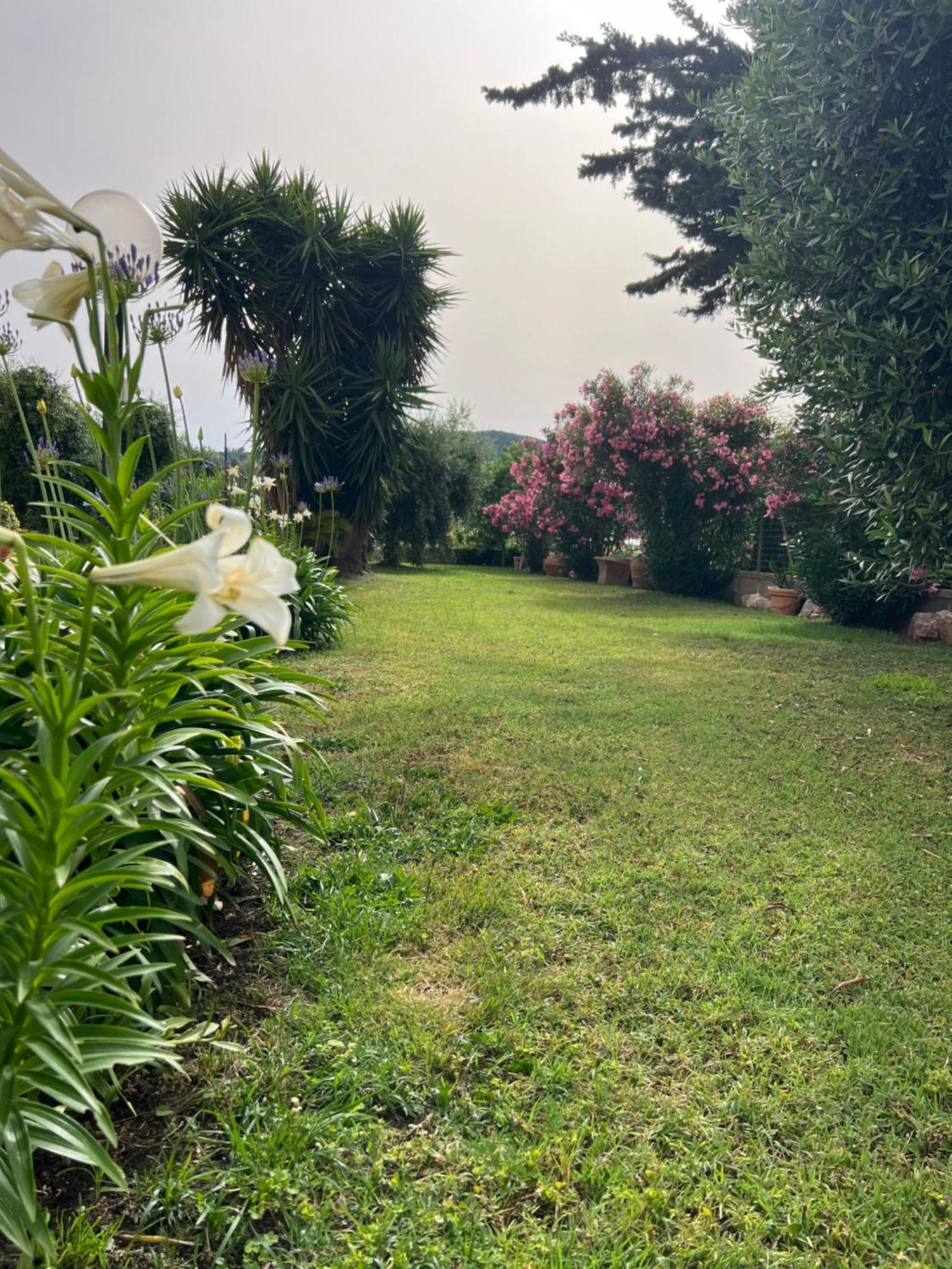 Agriturismo Il Giardino Degli Olivi Appartamenti Кастільйоне-делла-Пеская Екстер'єр фото