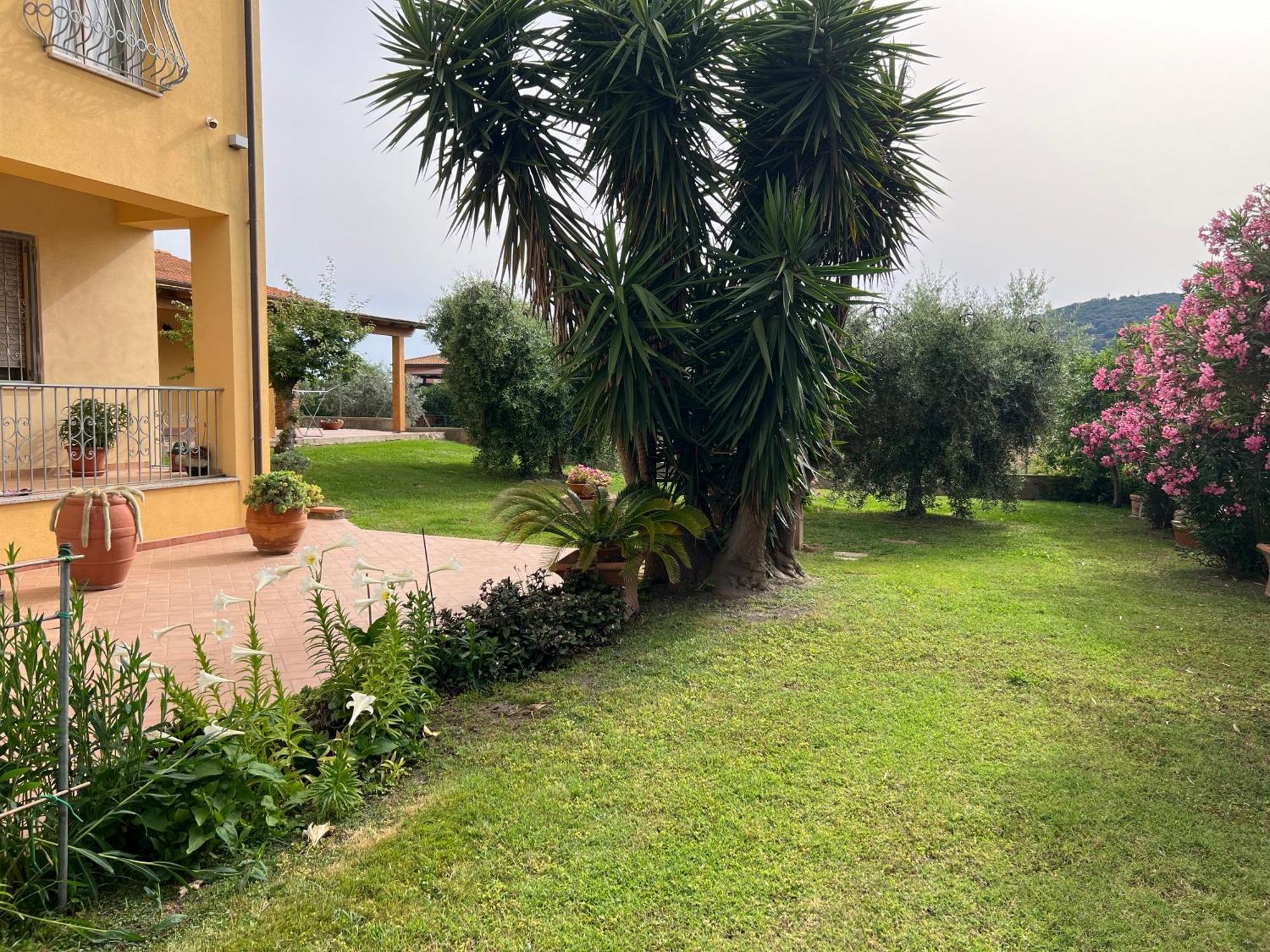 Agriturismo Il Giardino Degli Olivi Appartamenti Кастільйоне-делла-Пеская Екстер'єр фото